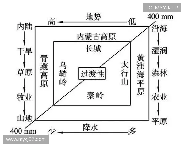 广州篮球队灵活性分析与战术调整的深度探讨